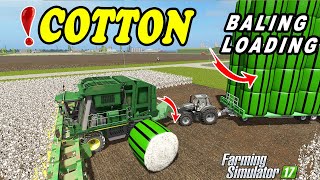 Farming Simulator 17 Crazy Cotton Harvesting and 55 Cotton Bale AUL on Canadian Village Map [upl. by Pollitt813]