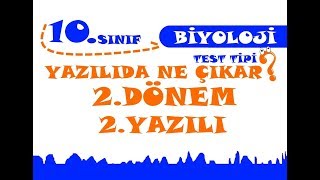 10Sınıf Biyoloji 2Dönem 2Yazılı [upl. by Aineg863]