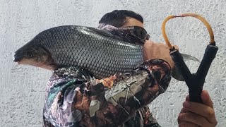 Pescando Assim Difícil não Pegar Peixe Grande pesca com estilingueslingshot sishing 🇧🇷 [upl. by Ainej]