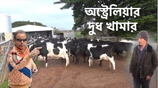 দুধ ফ্যাক্টরি ও অস্ট্রেলিয়ার গরু খামার Dairy farm in Australia বনিআমিন BoniAmin গরুখামার [upl. by Jimmie]