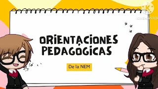 📚 Orientaciones pedagógicas [upl. by Starkey]