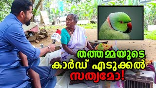 തത്തമ്മയുടെ കാര്ഡ് എടുക്കല് സത്യമോ talking parrot Indian Kerala [upl. by Eiramannod]