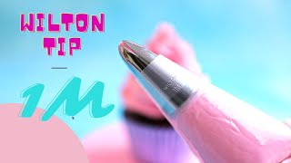 Wilton tip 1M 10 Great ideas to help you master the worlds most popular piping nozzle [upl. by Ramoj]