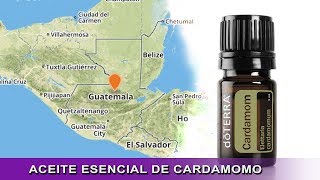 Aceite Esencial de Cardamomo doTERRA  Origen uso y aplicación [upl. by Alanah751]