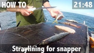 How To Straylining for Snapper amp 30lb Catch [upl. by Anirb]