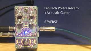 Digitech Polara ReverbAcoustic Guitar [upl. by Slerahc924]