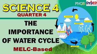 The Importance of Water Cycle  SCIENCE 4 QUARTER 4 WEEK 3 [upl. by Ariom]