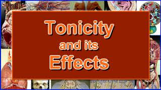 Red Blood Cells Osmosis and the Tonicity Experiment [upl. by Namas]