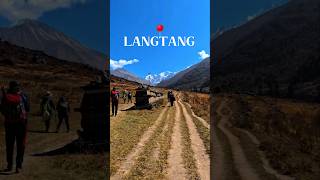 Kathmandu To Langtang National Park shorts travel nepal langtang [upl. by Michon]