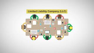 Overview of Business Organizations [upl. by Devland]