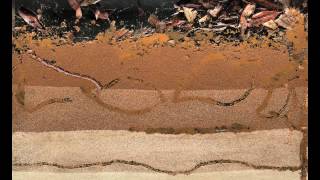 Bioturbation  Worms at Work [upl. by Sobel36]