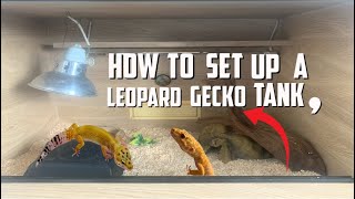 A Beginner’s Guide To Setting Up A Leopard Gecko Tank [upl. by Euqinmod]