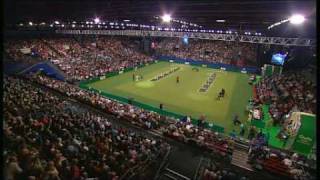 Flyball  Crufts 2007 Final [upl. by Attiuqahs]