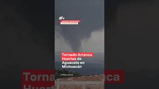 Tornado arranca huertas de aguacate en Michoacán  N Shorts [upl. by Fisuoy577]