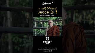 การปฏิบัติธรรม มีข้อดีอะไร  howto inspiration forest forestlovers forestplus forestplusmart [upl. by Elorak]