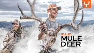 Idaho Mule Deer  MeatEater Season 12 [upl. by Oicanata698]