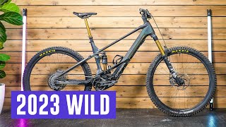 Is the 2023 Orbea Wild the Benchmark EMTB [upl. by Faria247]