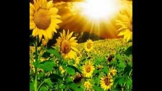 come un girasole  giorgia [upl. by Eillen]