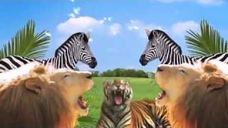 Edinburgh Zoo STV Advert 2011 [upl. by Ainoval]