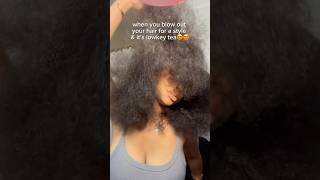 when you blow your hair out for a style amp its lowkey tea  michelle faleese naturalhair viralvideo [upl. by Ynoffit]