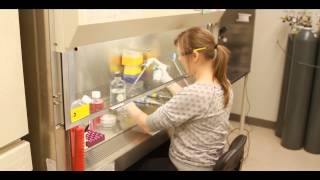 Biochemistry Professional Training Placement at North Carolina State University [upl. by Auqinu]