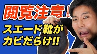 【閲覧注意】カビだらけのスエード靴がよみがえる！ [upl. by Guildroy]