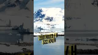 Commonwealth Bay Antarctica is the windiest place on Earth facts fact antarctica wind weather [upl. by Anilave]