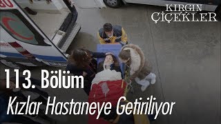 Kızlar hastaneye getiriliyor  Kırgın Çiçekler 113 Bölüm  Final [upl. by Lesoj306]