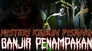 HEBOH penghuni kebon pisang angker mengamuk kurang terima lokasinya di explor [upl. by Esinrahc]