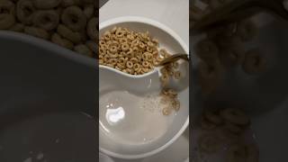 Worlds best cereal bowl cereal cerealasmr cerealreview breakfast food foodie [upl. by Laeahcim446]