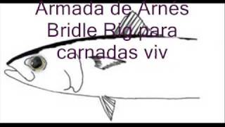 Rapala Pro Staff presenta armada de Arnés o Bridle Rig [upl. by Ragen]