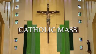 Roman Catholic Mass for September 1st 2024 Twentysecond Sunday in Ordinary Time [upl. by Ahseila]