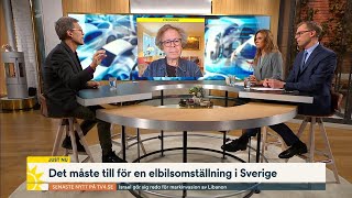 Därför minskar elbilsförsäljningen i Sverige  Nyhetsmorgon  TV4 amp TV4 Play [upl. by Kippie386]