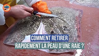 Comment retirer la peau dune raie  par un mareyeur [upl. by Eirrac]