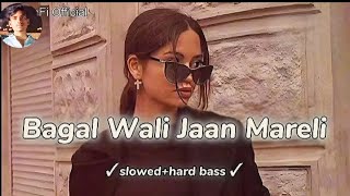 Bagal Wali Jaan Mareli  Slowed amp Reverb  LoFi Remix [upl. by Iruahs70]