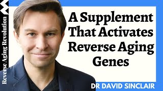 A Common Supplement Not NMN That Activates Reverse Aging Genes  Dr David Sinclair Interview Clips [upl. by Nata781]