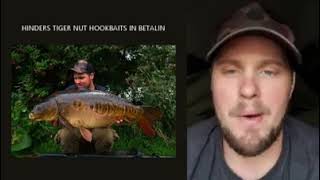 Tiger Nut Hookbaits for Carp Fishing [upl. by Avera]