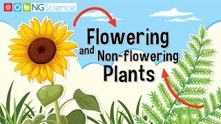 Flowering and Nonflowering Plants [upl. by Buehler394]