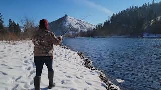 Steelhead Fishing On The Clearwater River [upl. by Adnopoz646]