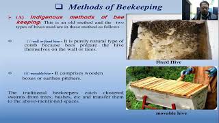 Apiculture Part 2 Methodology Moveable hives Products and tools of beekeeping or Apiculture [upl. by Htebazie]