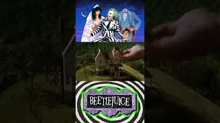 Adam Maitlands Art  Beetlejuice [upl. by Penrod381]