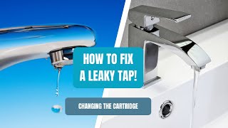 How to Change a Leaky Tap Cartridge StepbyStep Guide [upl. by Ishii]