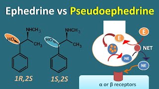 Ephedrine vs Pseudoephedrine  Similarities and differences [upl. by Trinee]