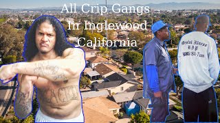 Inglewood Crip Gangs Surviving in a BloodDominated City [upl. by Margery]