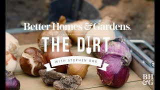 Tips on Planting Bulbs  The Dirt  Better Homes amp Gardens [upl. by Mohr]