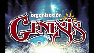 ORGANIZACION GENESIS  SAN LUIS POTOSI [upl. by Gifferd895]