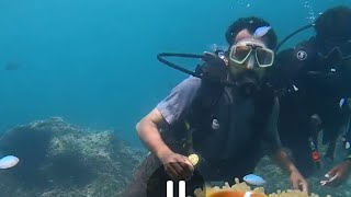 Amazing Scuba Diving Experience🌟 Scuba Diving at Agatti Island in Lakshadweep travelvlog scuba [upl. by Nelehyram]