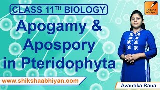 Apogamy amp Apospory in Pteridophyta  Plant Kingdom  CBSE Class 11 Biology [upl. by Lleddaw]