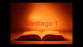 BIBLIA HABLADA SANTIAGO completo RV 1960 [upl. by Dercy]