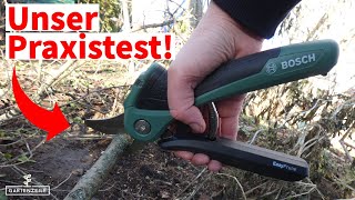 Im Test Bosch elektrische Gartenschere EasyPrune  Arbeitslerleichterung oder Quatsch [upl. by Griffin]